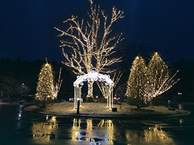 イルミネーション